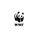 viddsee for business-wwf singapore client